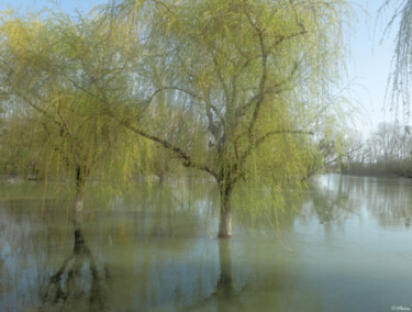 Une histoire d'eau