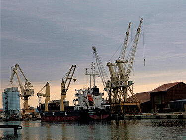 Fouillis de grues