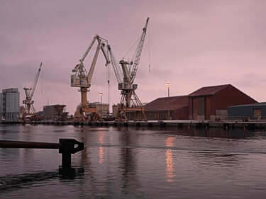 Grues du petit matin